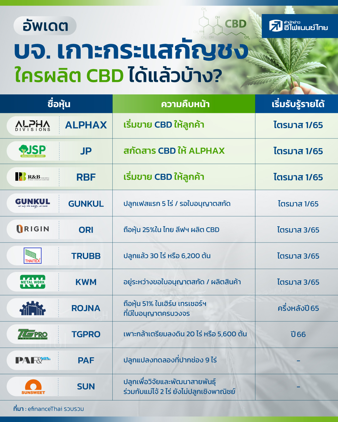 บจ.เกาะกระแสกัญชง ใครผลิต CBD ได้แล้วบ้าง
