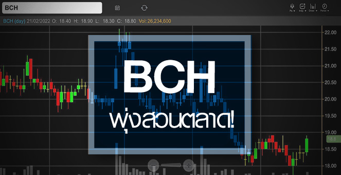 BCH พุ่งสวนตลาด ... จับตากำไรปีนี้มีอัพไซด์!