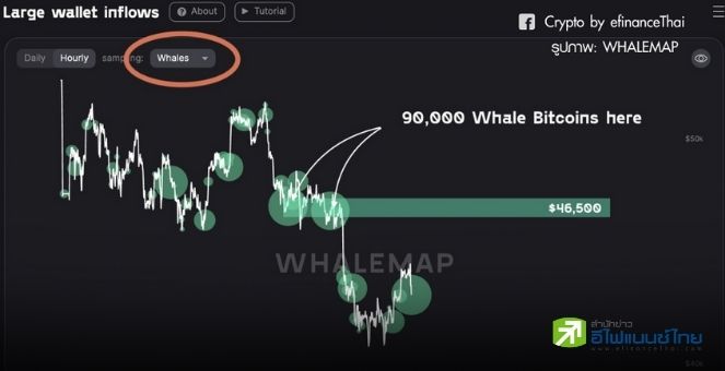 btc vs bitcoin kaip iškasti bitcoin privačiai