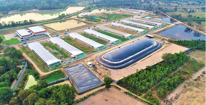 CPF โชว์ความสำเร็จ ระบบ `ไบโอแก๊ส` หนุนปศุสัตว์รักษ์โลก ตามแนวทาง BCG Model