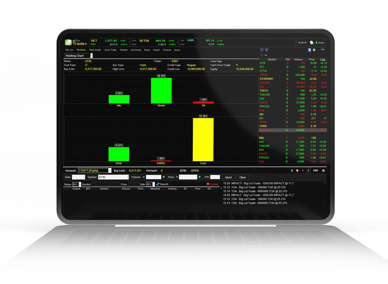Portfolio Holding Chart ŧعҧ´
