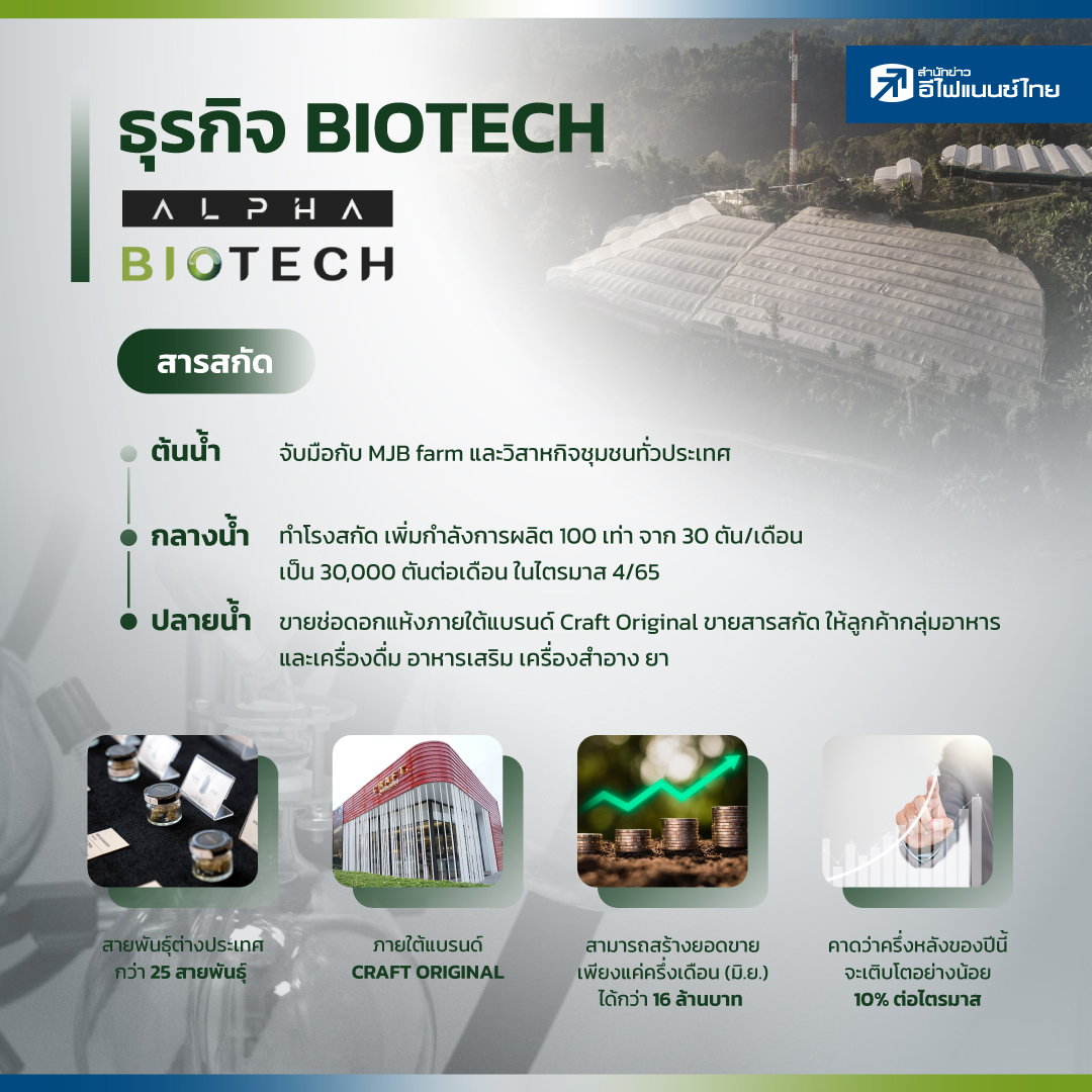 ส่วนธุรกิจกัญชง-กัญชาหลังรัฐบาลประกาศปลดล็อค ALPHAX