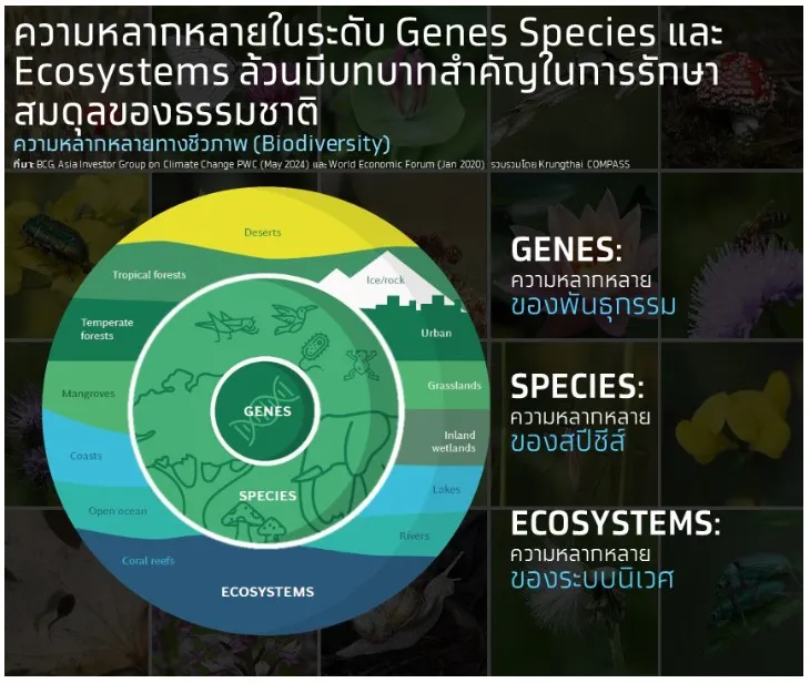 ทำไมความหลากหลายทางชีวภาพ คือ กุญแจลับปั้นธุรกิจเกษตร-อาหารไทยสู่เวทีโลก