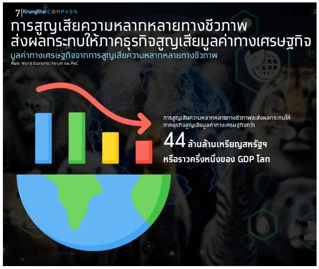 ทำไมความหลากหลายทางชีวภาพ คือ กุญแจลับปั้นธุรกิจเกษตร-อาหารไทยสู่เวทีโลก