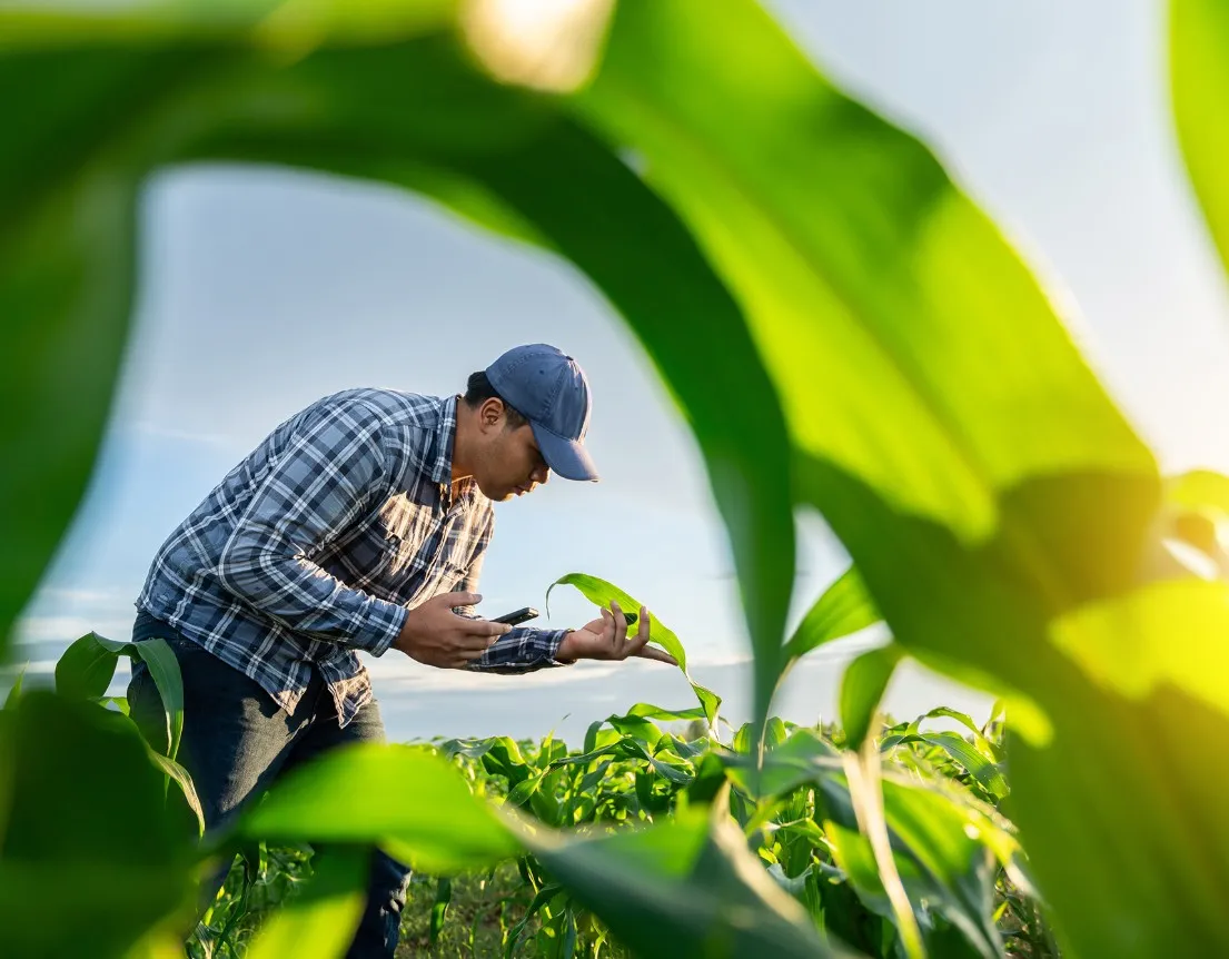 ทำไมความหลากหลายทางชีวภาพ คือ กุญแจลับปั้นธุรกิจเกษตร-อาหารไทยสู่เวทีโลก