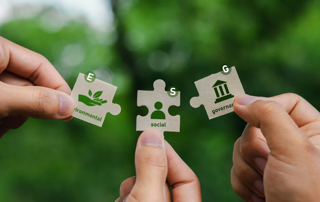 FSMART กางแผนเติบโต 3 ธุรกิจหลัก "บุญเติม-สินเชื่อ-เต่าบิน" มั่นใจโตทะลุเป้า