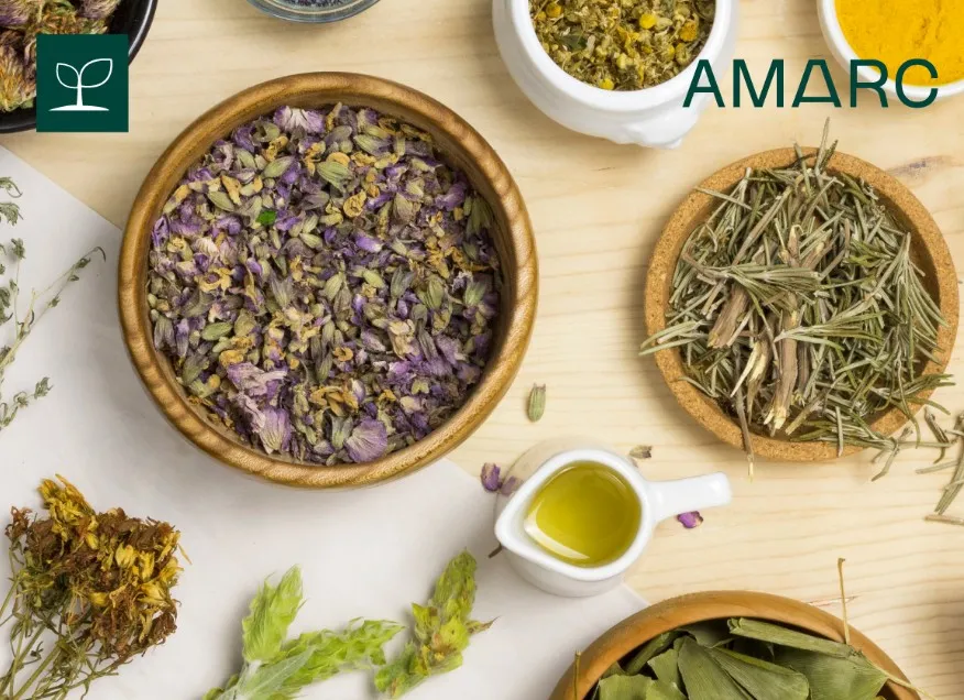 ทำไม AMARC คือผู้ยกระดับมาตรฐานอาหารและการเกษตรไทย โอกาสธุรกิจในเวที AEC