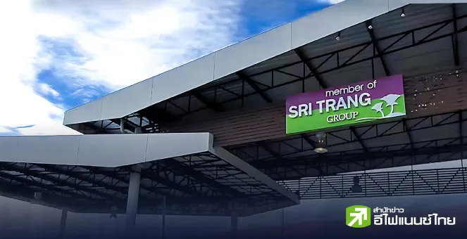 ถอดรหัสหุ้น STA เมื่อปัจจัยลบระยะสั้น มาพร้อมโอกาสระยะยาว จะไปต่อหรือพอแค่นี้?