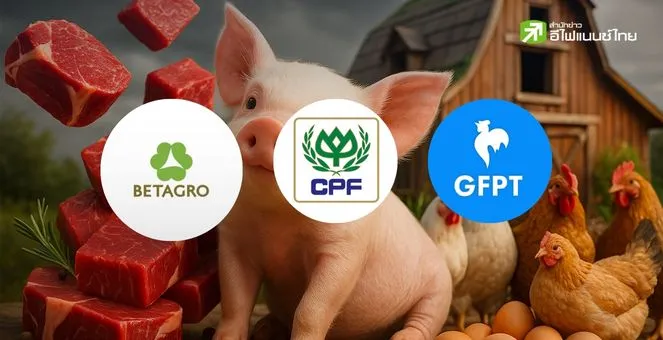 รูป เจาะแนวโน้มหุ้นหมูและไก่ CPF BTG GFPT ในครึ่งหลังปี 68 กำไรจ่อพุ่ง 300%