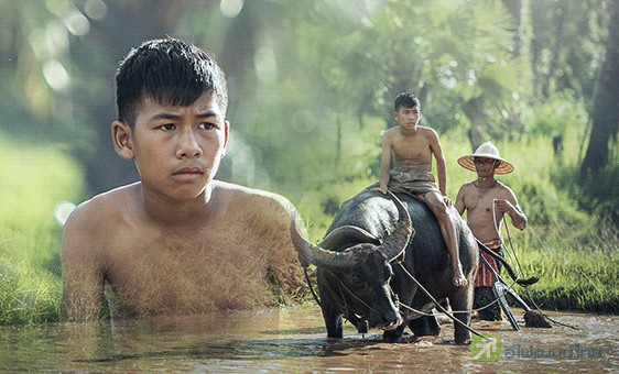 รูป เศรษฐกิจไทยดีจริงหรือ ???  (ตอน 2 ) / ดีแค่ไหน ถามใจประชาชนดู