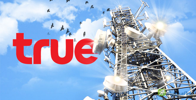 รูป TRUE ระรื่น โค้ง3 กำไรเนื้อๆ ไร้รายการพิเศษ