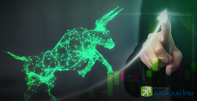 รูป กระทิงนอนมา ... 1800 จุดก็มี