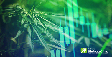 กัญชงฟีเวอร์