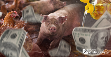 วิกฤติอาหารโลก... โอกาสหุ้นอาหารไทย
