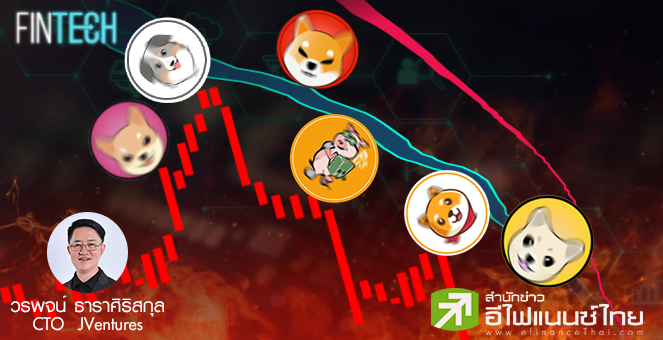 รูป DeFi สายซิ่ง