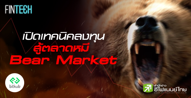 เปิดเทคนิคลงทุนสู้ตลาดหมี Bear Market