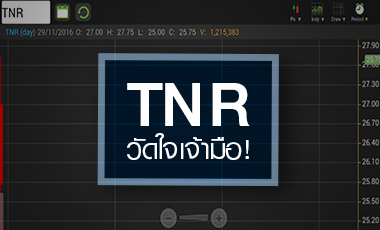 TNR วัดใจเจ้ามือดันต่อหรือไม่ หลังราคาแรงทะลุพื้นฐานปีหน้