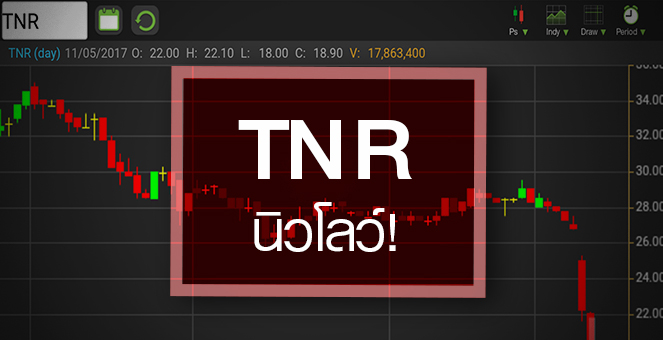รูป TNR กลับสู่ความจริง หลังราคาวิ่งแรงเกินไป