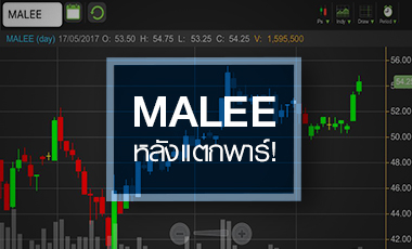 MALEE แตกพาร์ดึงรายย่อย แต่กำไรชะลอตัว