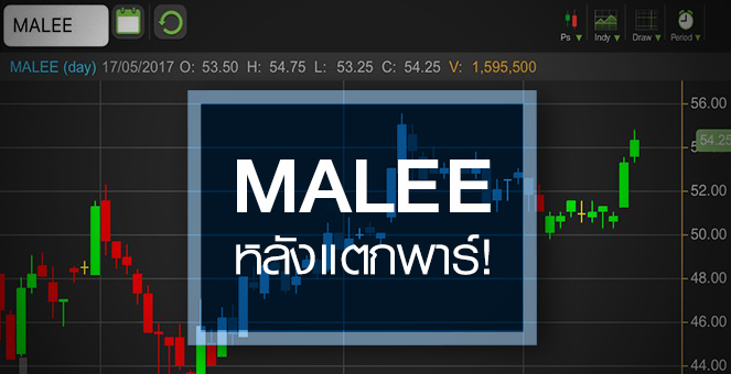 รูป MALEE แตกพาร์ดึงรายย่อย แต่กำไรชะลอตัว