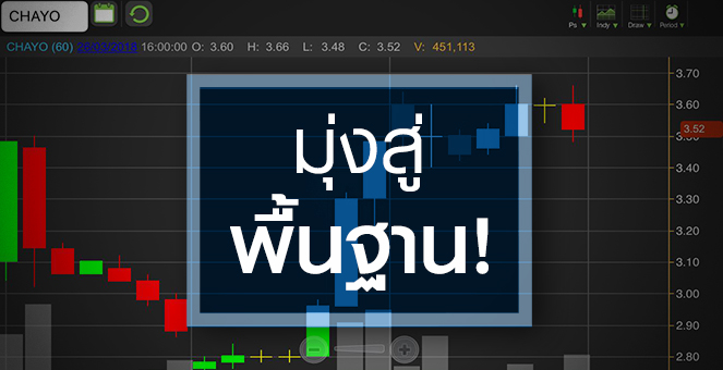 รูป CHAYO เริ่มเคาะขวา จับตาฟื้นกำไรปีนี้ได้หรือไม่