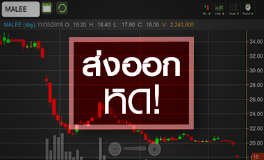 MALEE ดิ่งรับกำไรนิวโลว์รอบ 8 ปี แนะเลี่ยงจนกว่าจะเห็นสัญญาณฟื้น
