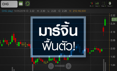 CHG มาร์จิ้นดีดแรงสุดรอบ 10 ไตรมาส กูรูมองเป้าคนละทิศ
