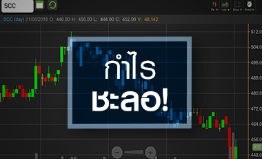 SCC ไหลต่อเนื่อง! ผิดหวังงบ Q1/61 สถาบันตัดขายหุ้น