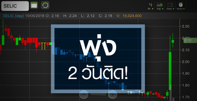 รูป SELIC พุ่งปริศนา จับตามีอะไรในกอไผ่หรือไม่?