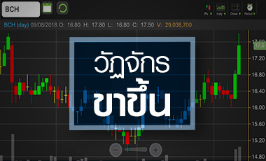 BCH เข้าวัฏจักรขาขึ้น จับตาปี 63 เริ่มบุ๊คค่าเสื่อมรอบใหม่
