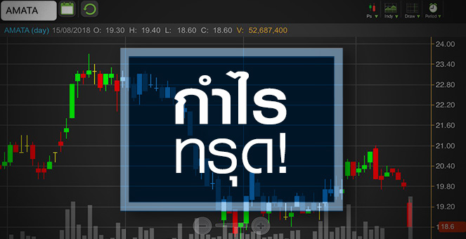 รูป AMATA ทรุด! ส่อแววทำนิวโลว์ หลังโชว์กำไรต่ำคาด