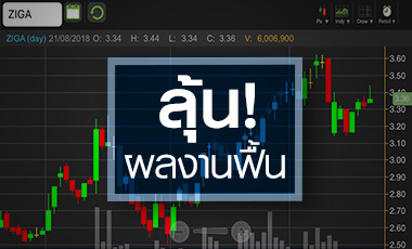 ZIGA เด้ง! ลุ้นปี 62 มาร์จิ้นเหล็กฟื้น-รายได้โต 3 เท่า