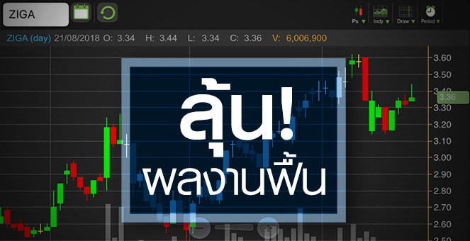 รูป ZIGA เด้ง! ลุ้นปี 62 มาร์จิ้นเหล็กฟื้น-รายได้โต 3 เท่า