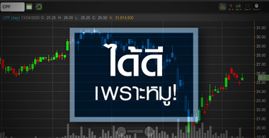 CPF ได้ดีเพราะหมู...แต่ถ้าไม่อยาก"ขายหมู"ต้องรู้อะไร?