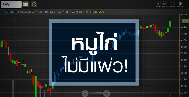 รูป TFG วอลุ่มทะลัก รับอานิงสงส์ราคาหมู-ไก่ พุ่ง!