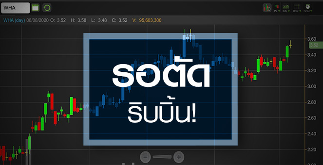 รูป WHA รอตัดริบบิ้น Business Bubble ราคานี้ยังน่าลงทุนหรือไม่?