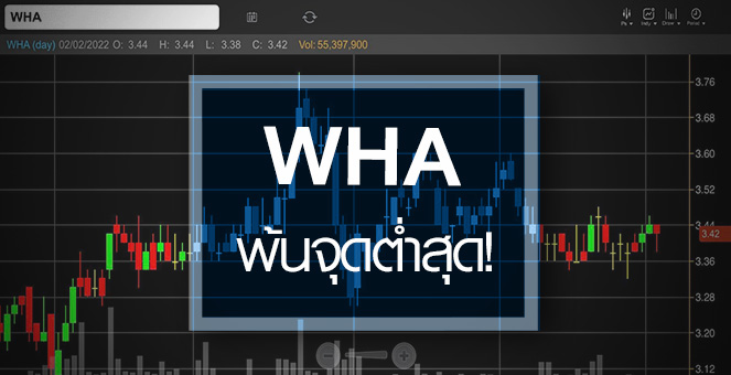 รูป WHA ธุรกิจพ้นจุดต่ำสุด ...จับตา! กำไรปีนี้ฟื้นแรง