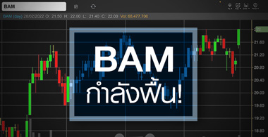 BAM 鹷ءáԨ ... 鹡ûչ 15  23% 