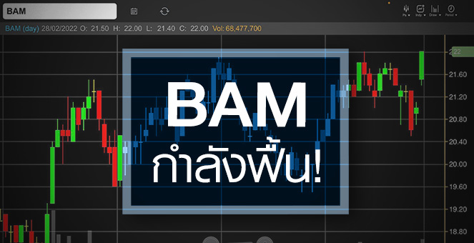 รูป BAM ฟื้นทุกธุรกิจ ... ลุ้นกำไรปีนี้โต 15 – 23%