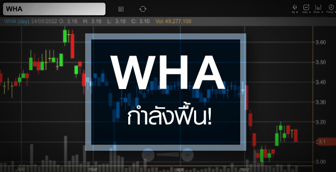 รูป WHA ธุรกิจส่งสัญญาณฟื้น ...แต่ราคายัง Laggard !