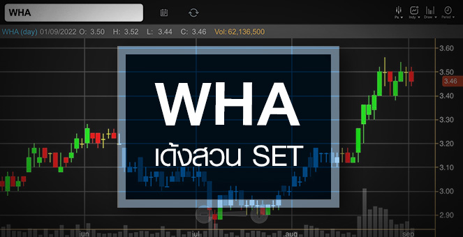 รูป WHA เด้งสวน SET ...สัญญาณซื้อมาหรือยัง ?