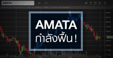 AMATA áԨǧ鹵 ...Ҥҹǹѧ? 
