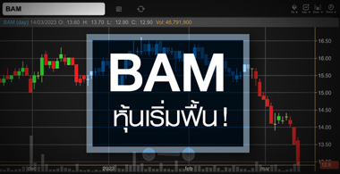 BAM  ...Ѿ䫴աº ! 