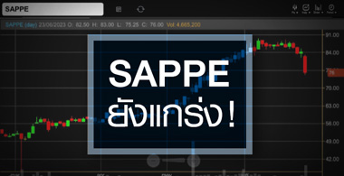 SAPPE ѧ ...鹰ҹ ? 