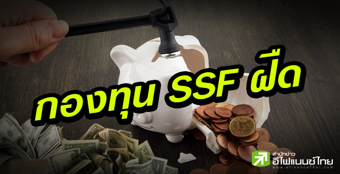 รูป กองทุน SSF ขายไม่ออก-FETCO ถกคลังเพิ่มประโยชน์จูงใจ