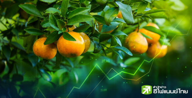 รูป "กอง FIF"-"DR"-"DRx"จ่อส้มหล่น หลังสรรพากรเตรียมเก็บภาษีลงทุนตปท.