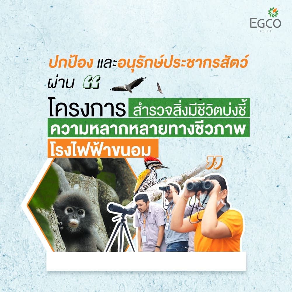 ไม่มีคำอธิบายรูปภาพ