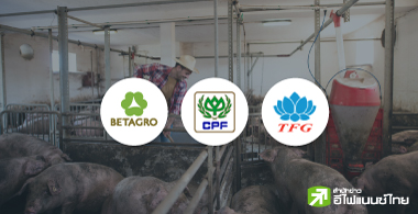 3 หุ้นขาดทุน เซ่นพิษหมูเถื่อน