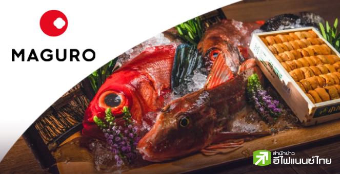 8 ข้อควรรู้ 'มากุโระ กรุ๊ป (MAGURO)' ร้านอาหารญี่ปุ่นระดับพรีเมียม-แมส