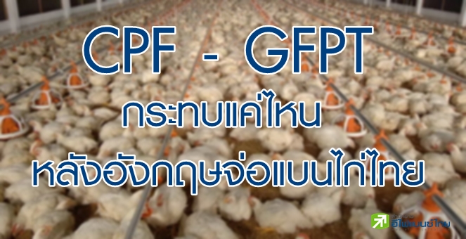 โบรกฯ ส่อง CPF-GFPT รับผลกระทบแค่ไหน หลังอังกฤษจ่อแบนไก่ไทย